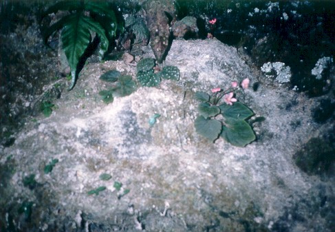 B. u381